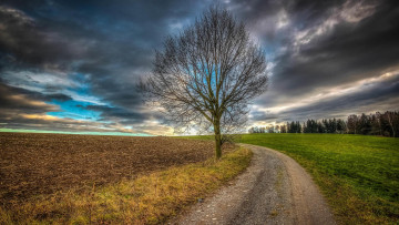 Картинка природа дороги дорога поле пейзаж деревья