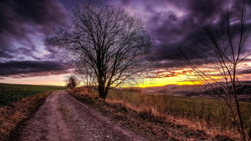 Картинка природа дороги пейзаж деревья дорога поле