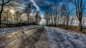 Картинка природа дороги пейзаж деревья дорога поле