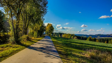 Картинка природа дороги пейзаж деревья дорога поле