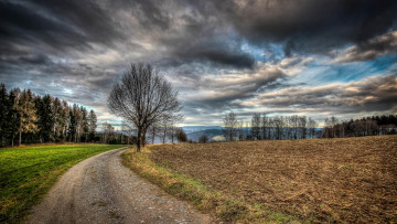 Картинка природа дороги пейзаж деревья дорога поле