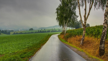 Картинка природа дороги пейзаж тучи деревья дорога поле