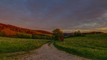 Картинка природа дороги пейзаж тучи деревья дорога поле