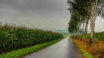 Картинка природа дороги пейзаж тучи поле деревья дорога