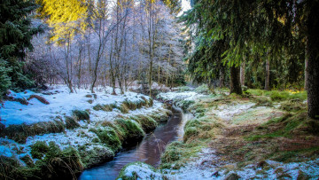 Картинка природа реки озера река деревья лес