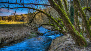 Картинка природа реки озера река деревья лес