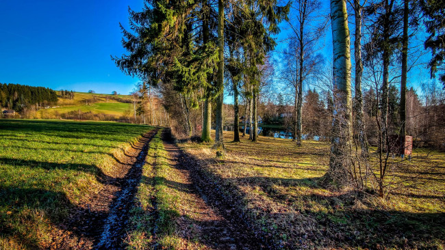 Обои картинки фото природа, дороги, деревья, дорога, поле, пейзаж