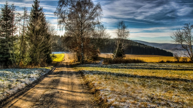 Обои картинки фото природа, дороги, дорога, деревья, поле, пейзаж