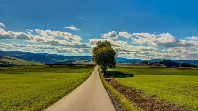 Обои картинки фото природа, дороги, дорога, поле, тучи, деревья, пейзаж