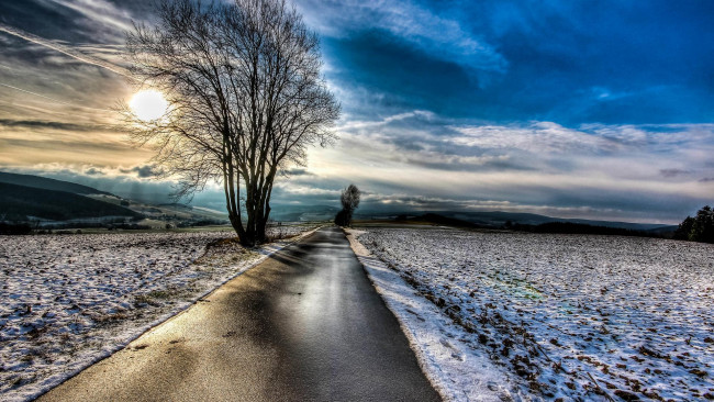 Обои картинки фото природа, дороги, пейзаж, деревья, дорога, поле