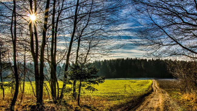 Обои картинки фото природа, дороги, пейзаж, деревья, дорога, поле