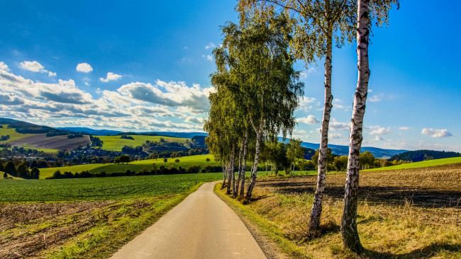 Обои картинки фото природа, дороги, пейзаж, деревья, дорога, поле