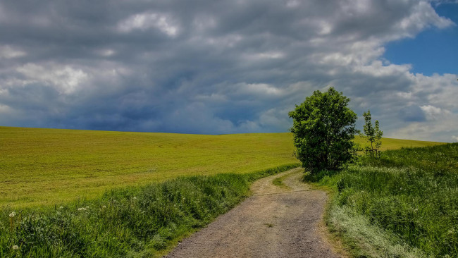 Обои картинки фото природа, дороги, пейзаж, тучи, деревья, дорога, поле
