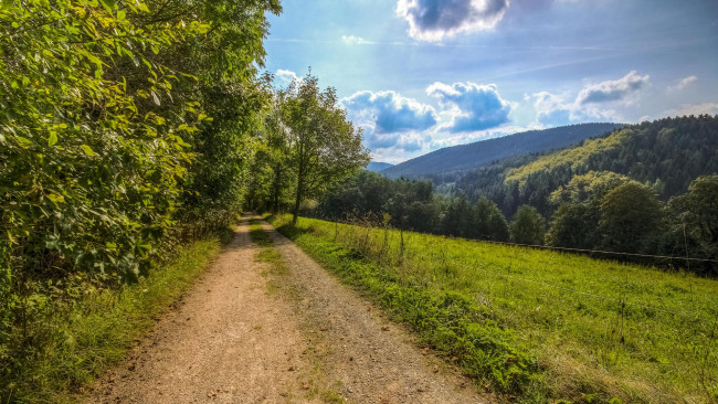 Обои картинки фото природа, дороги, пейзаж, тучи, деревья, дорога, поле