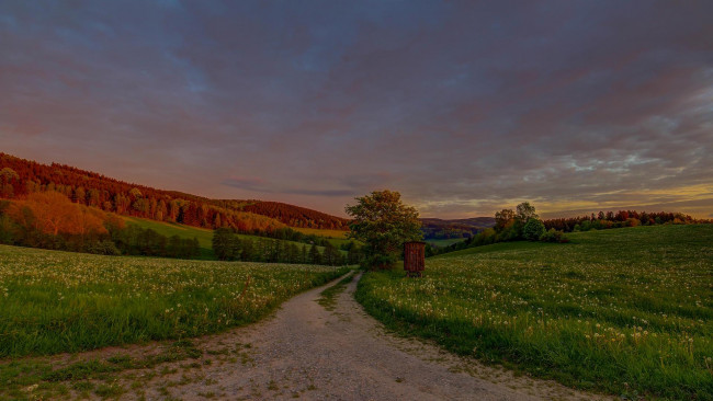 Обои картинки фото природа, дороги, пейзаж, тучи, деревья, дорога, поле