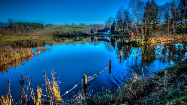 Обои картинки фото природа, реки, озера, пейзаж, деревья, водоём, озеро