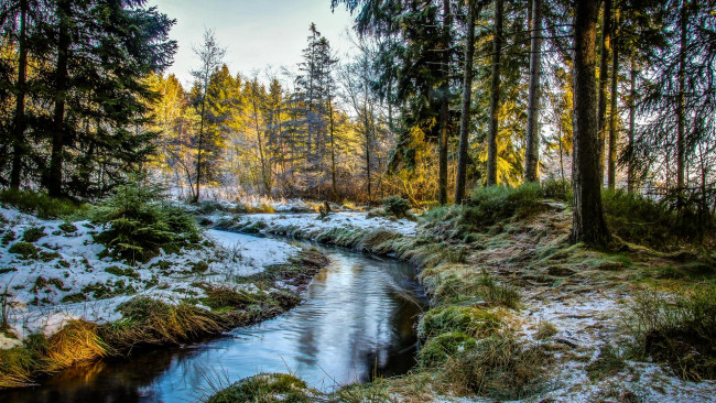 Обои картинки фото природа, реки, озера, река, деревья, лес