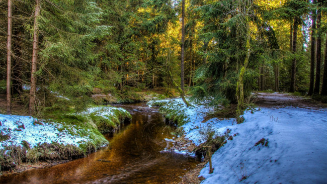 Обои картинки фото природа, реки, озера, река, деревья, лес