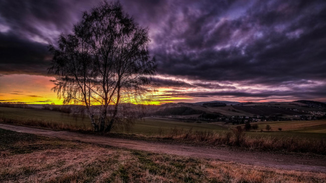 Обои картинки фото природа, восходы, закаты, пейзаж, деревья, дорога, поле