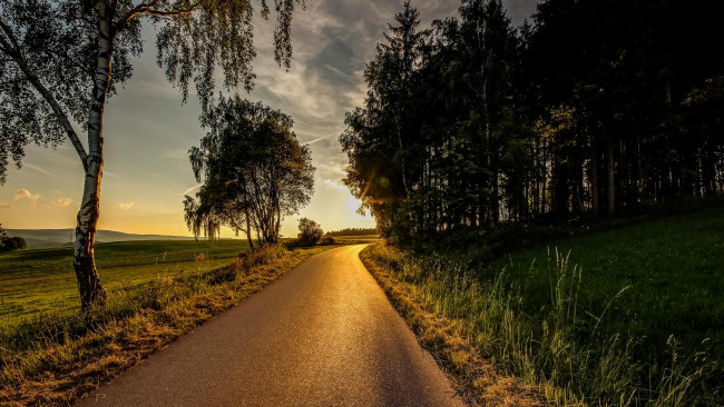 Обои картинки фото природа, восходы, закаты, пейзаж, деревья, дорога, поле