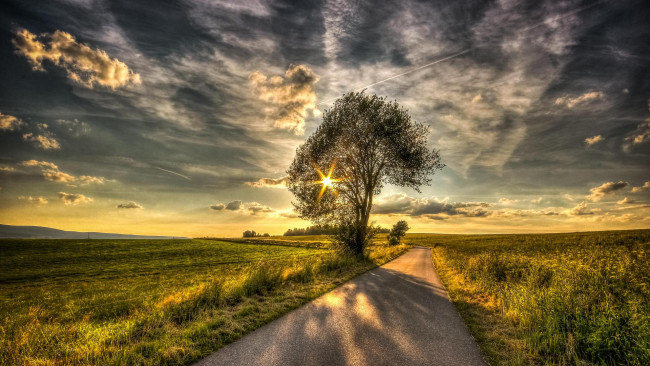 Обои картинки фото природа, восходы, закаты, пейзаж, деревья, дорога, поле