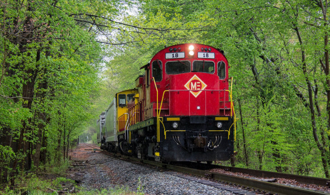 Обои картинки фото техника, поезда, локомотив, состав