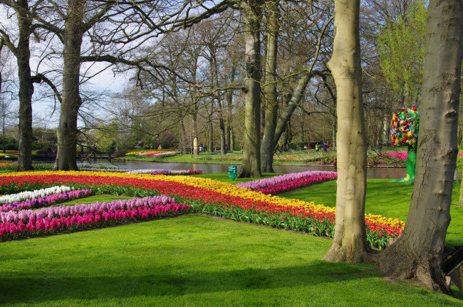 Обои картинки фото природа, парк, цветы, разные, деревья