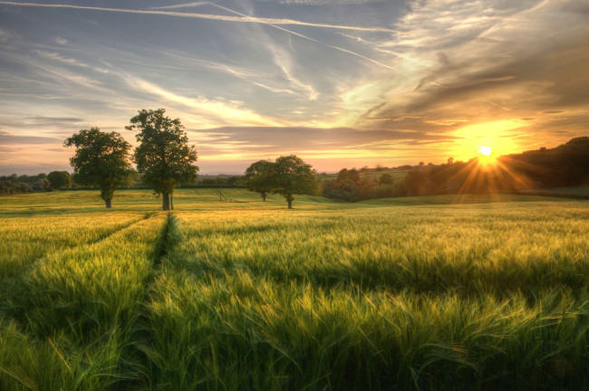 Обои картинки фото природа, восходы, закаты, рассвет