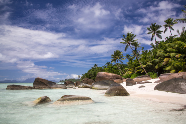 Обои картинки фото природа, побережье, море, пляж