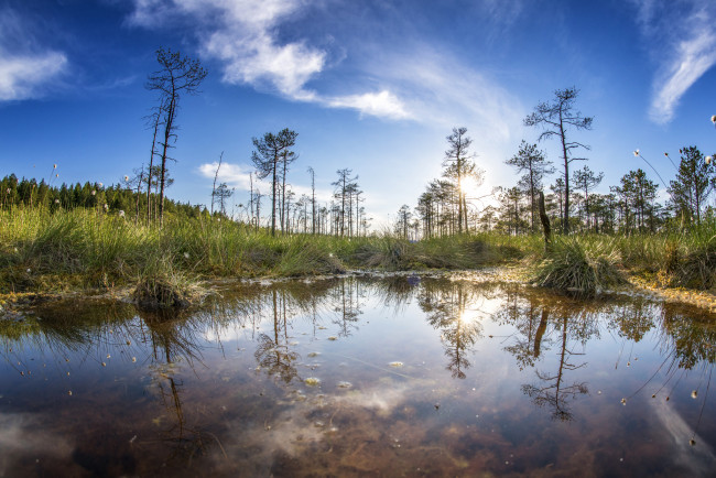 Обои картинки фото природа, реки, озера, река, лес