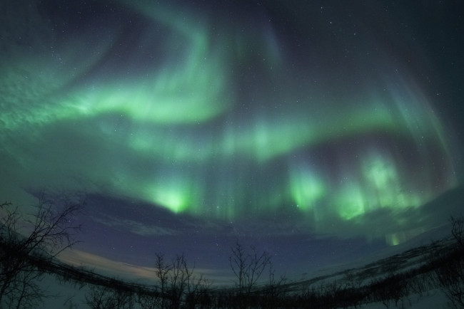 Обои картинки фото природа, северное сияние, сполохи, ночь
