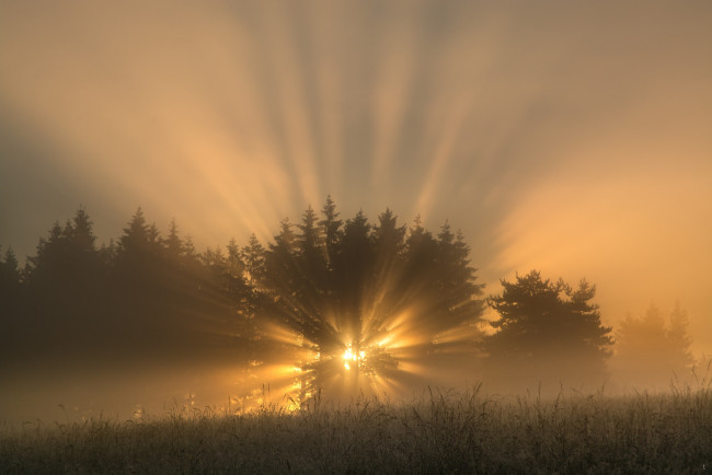 Обои картинки фото природа, восходы, закаты, рассвет