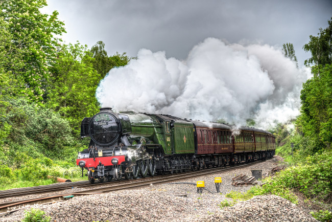 Обои картинки фото техника, паровозы, состав, локомотив