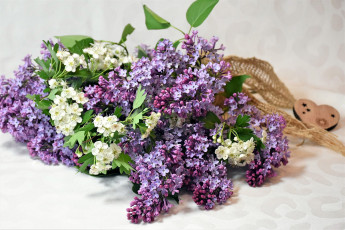 Картинка цветы разные+вместе сирень