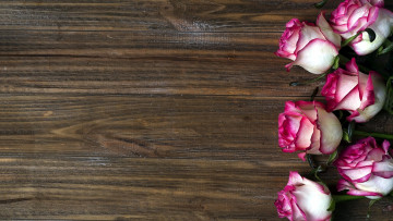 Картинка цветы розы бутоны