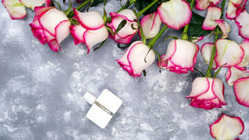 Картинка цветы розы бутоны