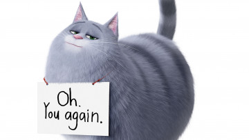 Картинка мультфильмы the+secret+life+of+pets+2 the secret life of pets 2