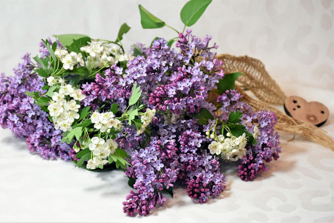 Обои картинки фото цветы, разные вместе, сирень