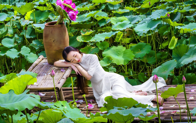 Обои картинки фото девушки, - азиатки, лотосы