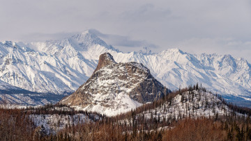 Картинка природа горы cнег деревья сухая трава кусты