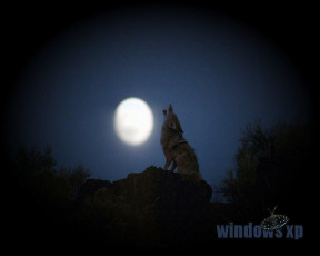 Картинка компьютеры windows xp