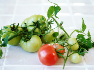 Картинка еда помидоры томаты