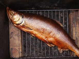 Картинка еда рыба морепродукты суши роллы