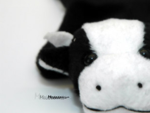 обоя разное