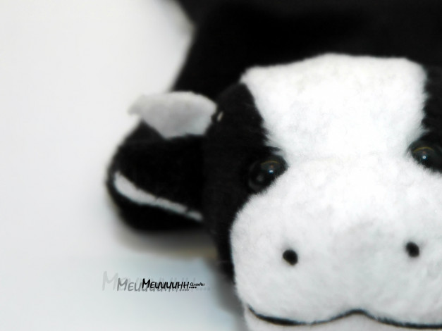 Обои картинки фото разное