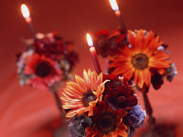 Обои картинки фото разное