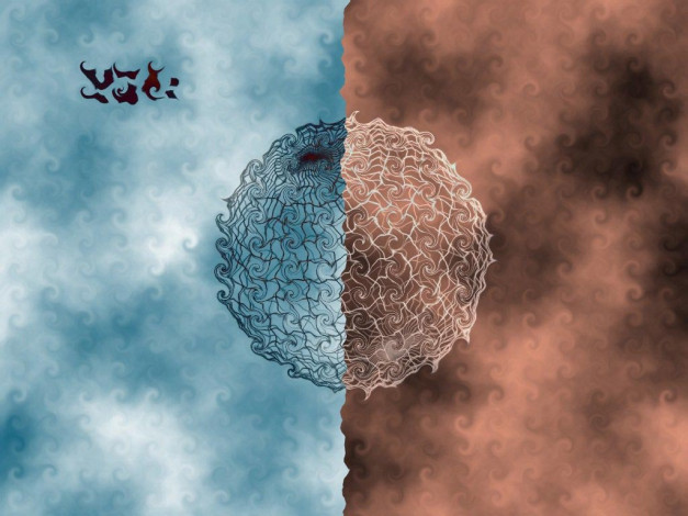 Обои картинки фото разное