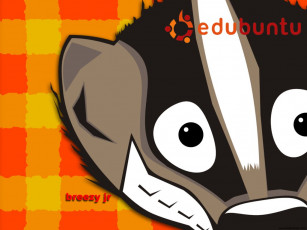 Картинка компьютеры ubuntu linux