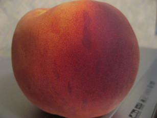 Картинка еда персики сливы абрикосы