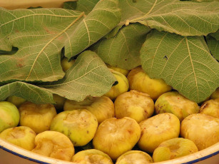 Картинка инжир еда фрукты ягоды